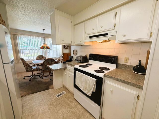 111 CHESTNUT STREET, Leesburg, FL 34748