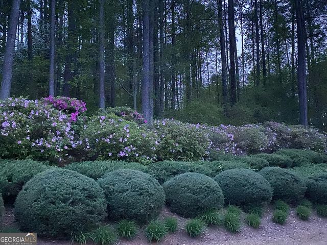 210 River Laurel Way, Woodstock, GA 30188