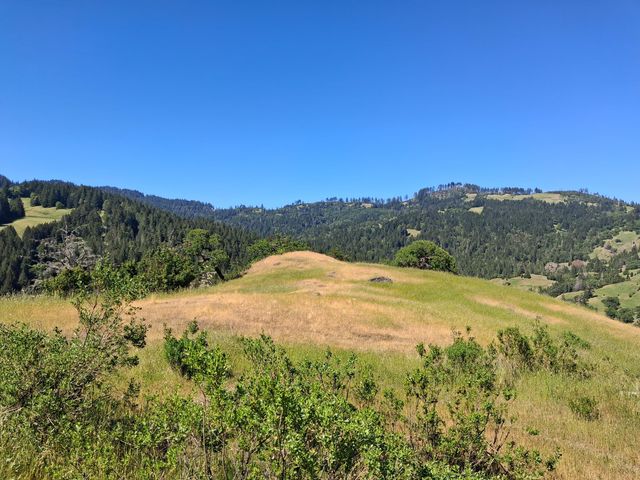 7425 Salmon Creek Road, Garberville, CA 95542