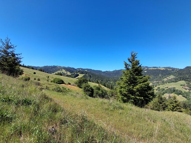 7425 Salmon Creek Road, Garberville, CA 95542