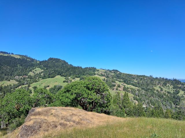 7425 Salmon Creek Road, Garberville, CA 95542