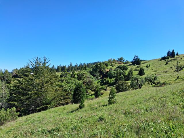 7425 Salmon Creek Road, Garberville, CA 95542