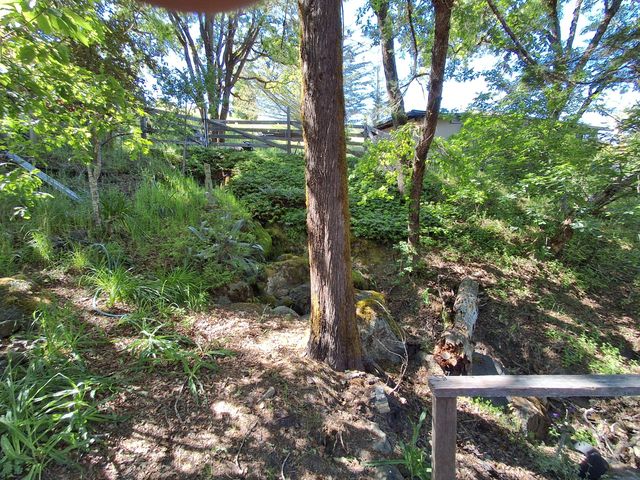 7425 Salmon Creek Road, Garberville, CA 95542