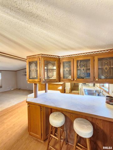 37 JANET Street, Murphysboro, IL 62966