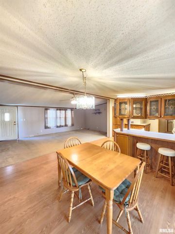 37 JANET Street, Murphysboro, IL 62966