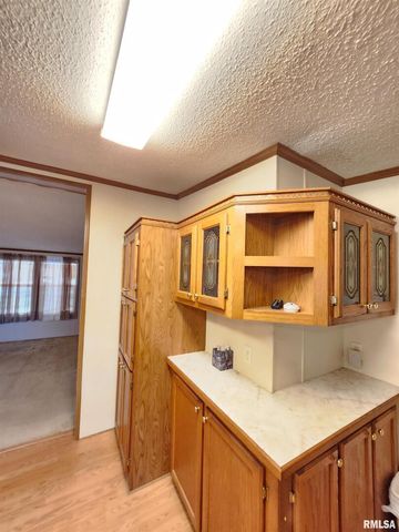 37 JANET Street, Murphysboro, IL 62966