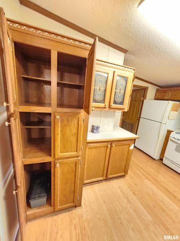 37 JANET Street, Murphysboro, IL 62966