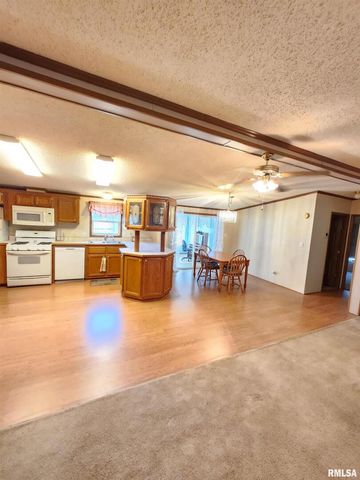 37 JANET Street, Murphysboro, IL 62966