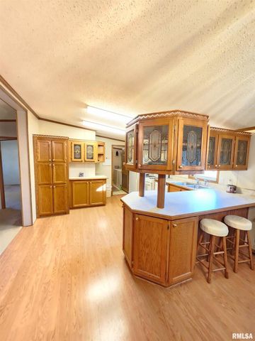 37 JANET Street, Murphysboro, IL 62966