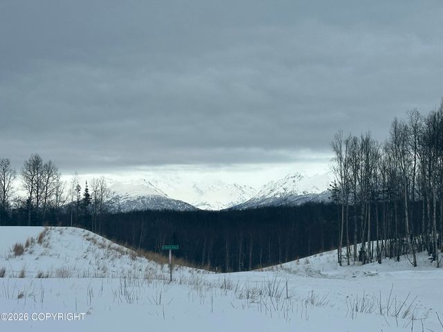 10407 E Arkose Peak Drive, Palmer, AK 99645