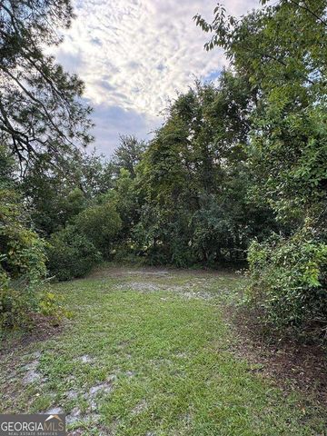 198 Holmesville Avenue, Baxley, GA 31513