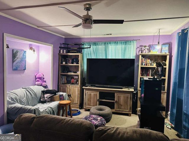 198 Holmesville Avenue, Baxley, GA 31513