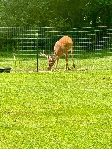 509 Fluker Street, Thomson, GA 30824