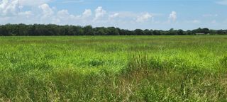 0 Whitetail Xing Crossing, Needville, TX 77461