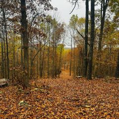 12879 Hwy O Highway, Ava, MO 65608