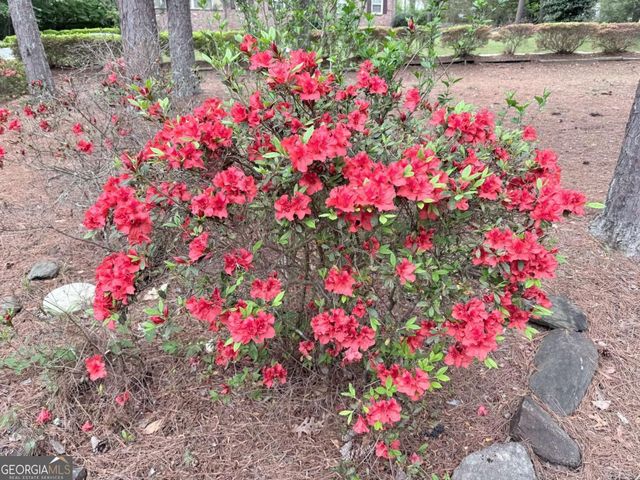 3033 Riviera Drive NW, Conyers, GA 30012