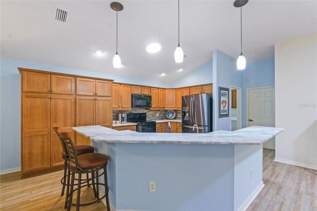 1148 ALLAIRE LOOP, The Villages, FL 32163