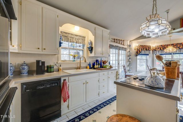 455 Brian Circle, Afton, TN 37616