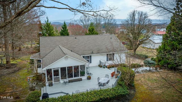 455 Brian Circle, Afton, TN 37616