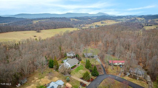 455 Brian Circle, Afton, TN 37616