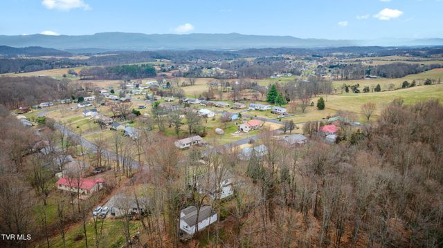 455 Brian Circle, Afton, TN 37616