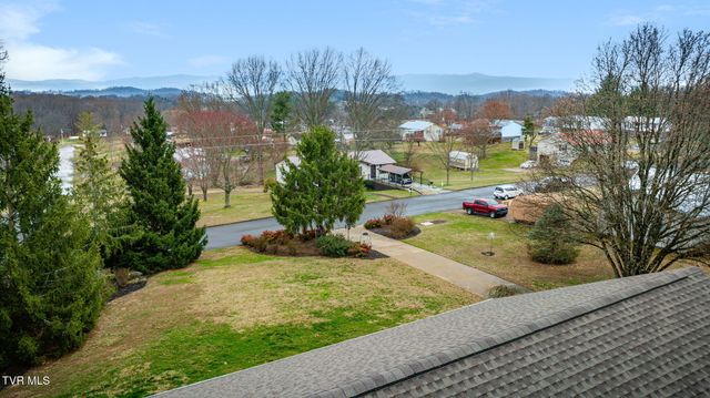 455 Brian Circle, Afton, TN 37616