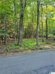 157 Pine tree Drive 306, Paradise Twp, PA 18326