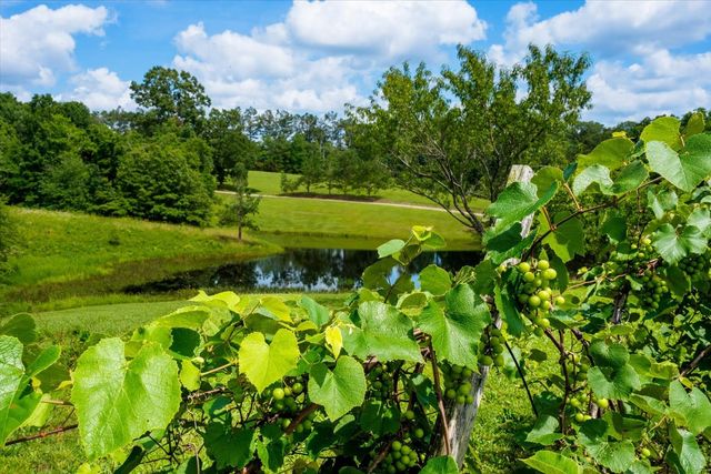 124 Napier Rd, Hohenwald, TN 38462