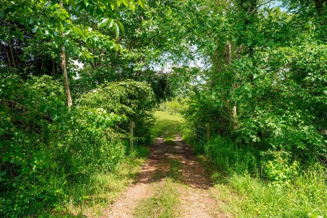 124 Napier Rd, Hohenwald, TN 38462