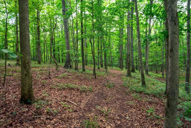 124 Napier Rd, Hohenwald, TN 38462