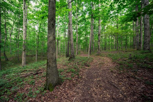 124 Napier Rd, Hohenwald, TN 38462