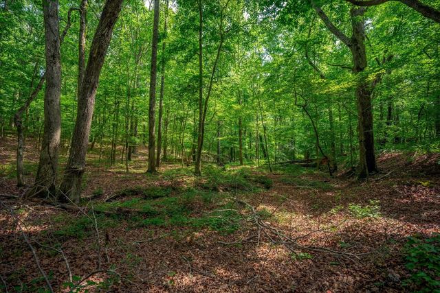 124 Napier Rd, Hohenwald, TN 38462