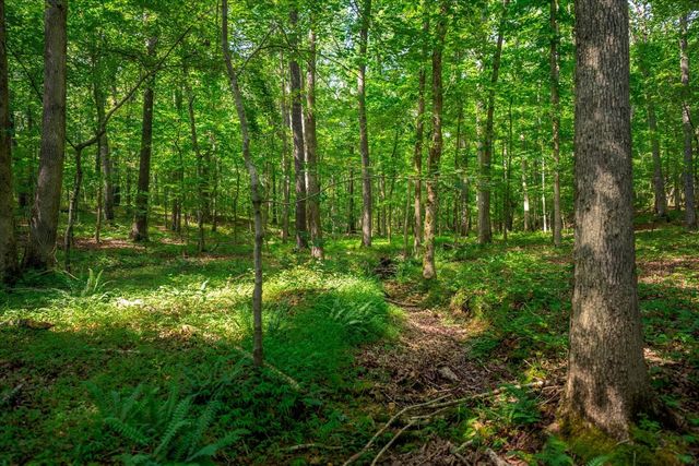 124 Napier Rd, Hohenwald, TN 38462