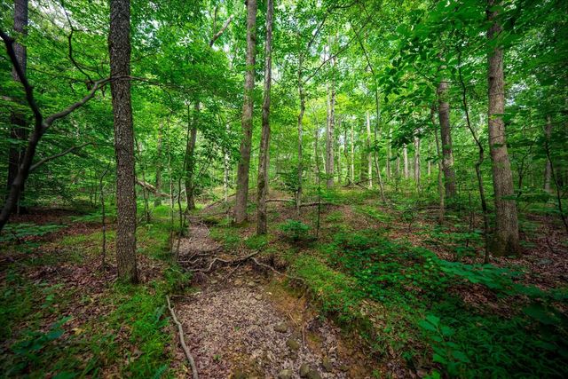 124 Napier Rd, Hohenwald, TN 38462