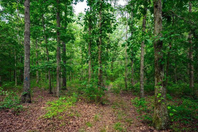 124 Napier Rd, Hohenwald, TN 38462