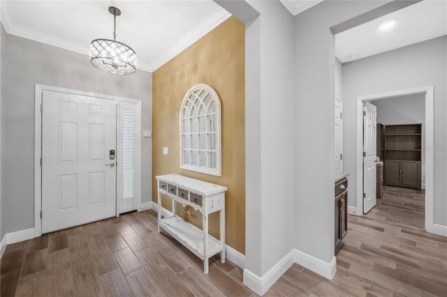 11637 TETRAFIN DRIVE, Riverview, FL 33579
