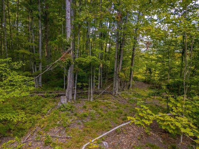 VL 12.5A NW Walker Road, Nw, Rapid City, MI 49676