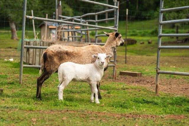 12242 Woodacre Rd, Grass Valley, CA 95949