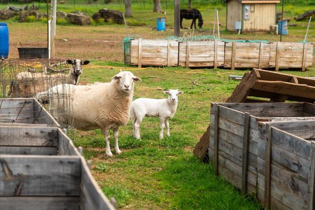 12242 Woodacre Rd, Grass Valley, CA 95949