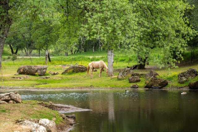 12242 Woodacre Rd, Grass Valley, CA 95949