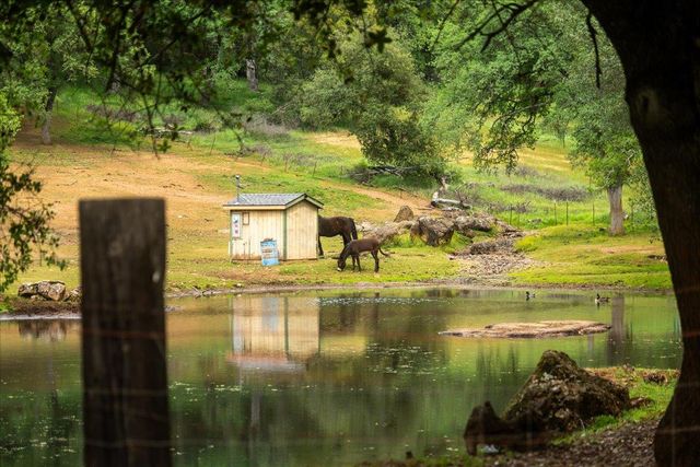 12242 Woodacre Rd, Grass Valley, CA 95949