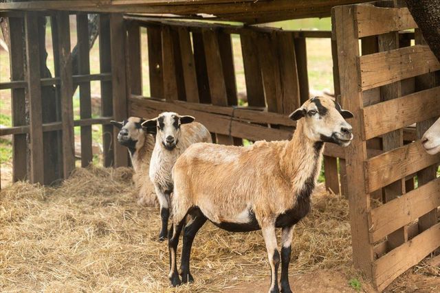 12242 Woodacre Rd, Grass Valley, CA 95949