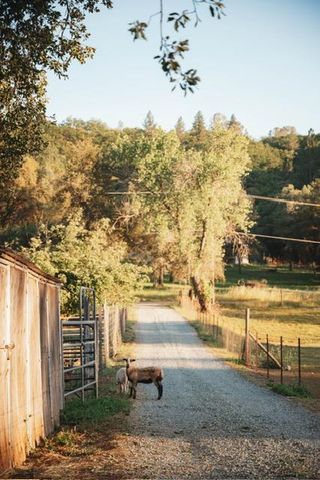 12242 Woodacre Rd, Grass Valley, CA 95949