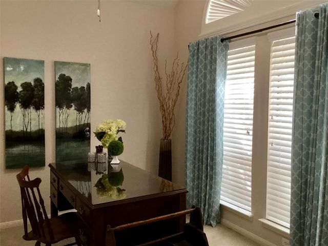 3 Spiral Vine Circle, The Woodlands, TX 77381