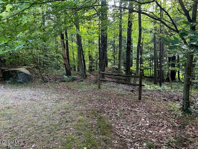 40 Finkle Farm Road, Lake George, NY 12845