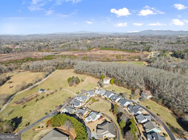 117 Village Green Way, Clarkesville, GA 30523