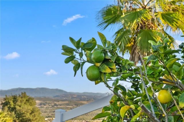 40055 Valle Vista, Murrieta, CA 92562