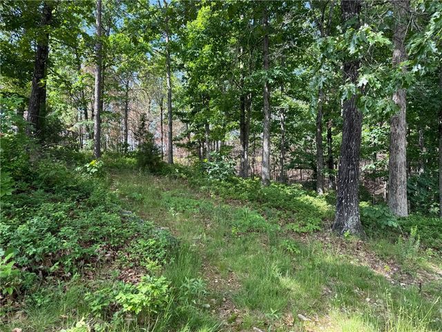 201 Mikel Lane, Yellville, AR 72687
