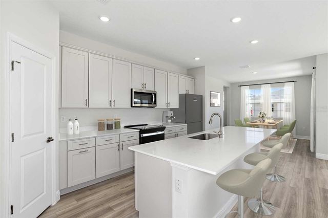 9913 SURREY ROSE DRIVE, San Antonio, FL 33576