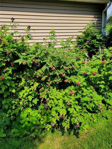 18 Mathew Lane, Greece, NY 14626
